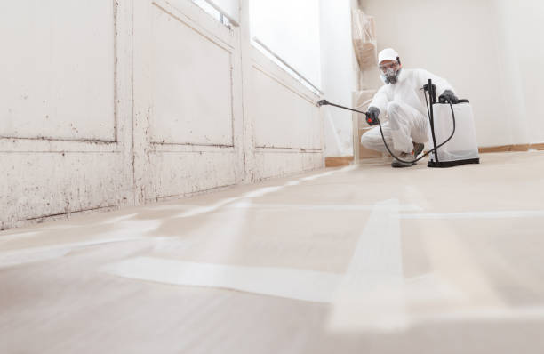 24/7 Emergency Basement Mold Remediation experts in Fort Bragg, NC