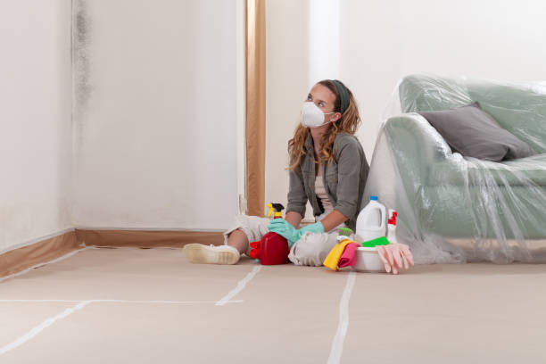 Reliable Basement Mold Remediation contractor in Fort Bragg, NC by WQB Mold Removal
